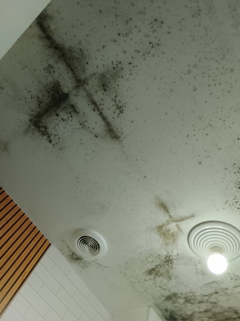 Teto de banheiro com manchas de mofo causadas por umidade